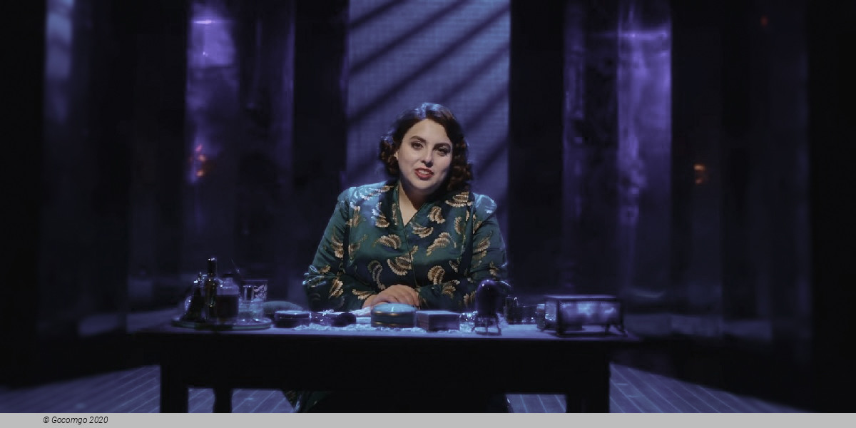 Scene 1 from the musical "Funny Girl", photo 2