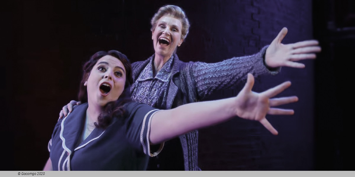 Scene 9 from the musical "Funny Girl", photo 1