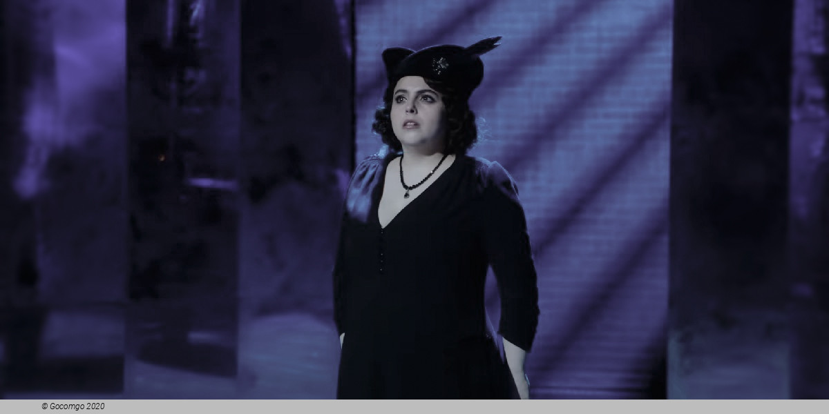 Scene 10 from the musical "Funny Girl", photo 10