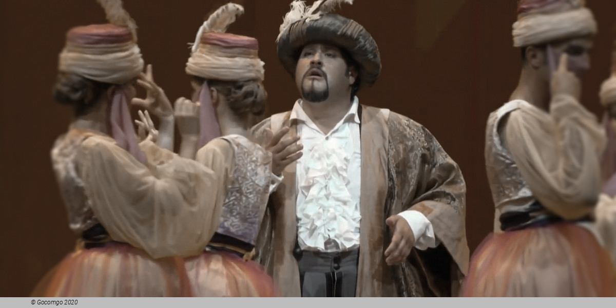 Scene 1 from the opera "La gazzetta", photo 2