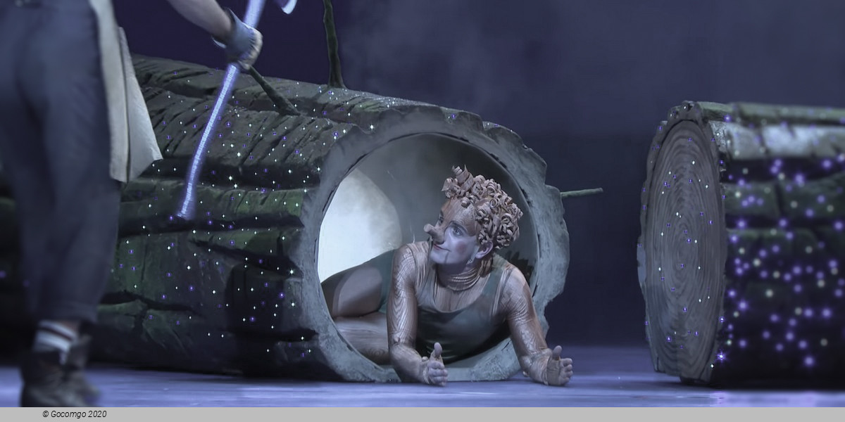 Pinocchio (ballet), photo 1