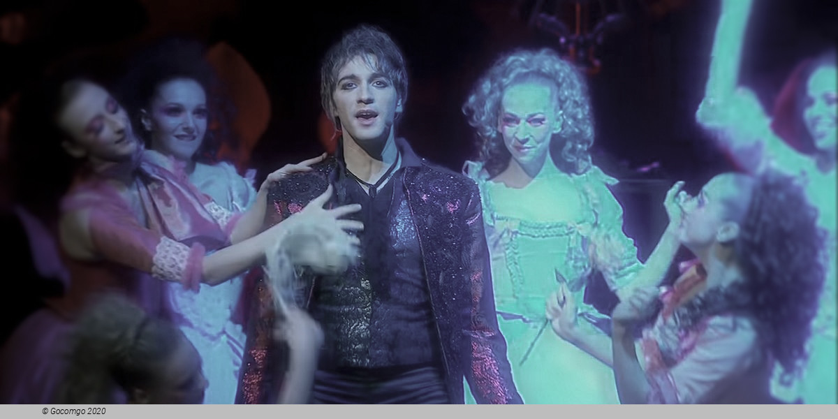 Mozart L'Opéra Rock, photo 1