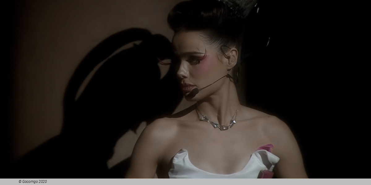 Mozart L'Opéra Rock, photo 7