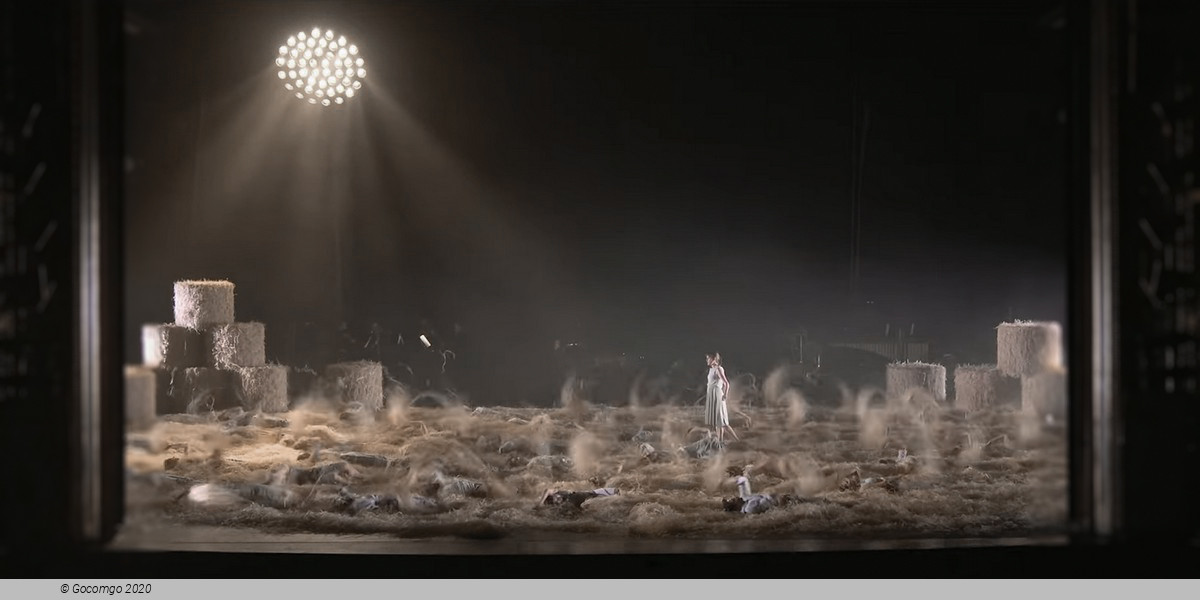 A Midsummer Night's Dream by Alexander Ekman, photo 6