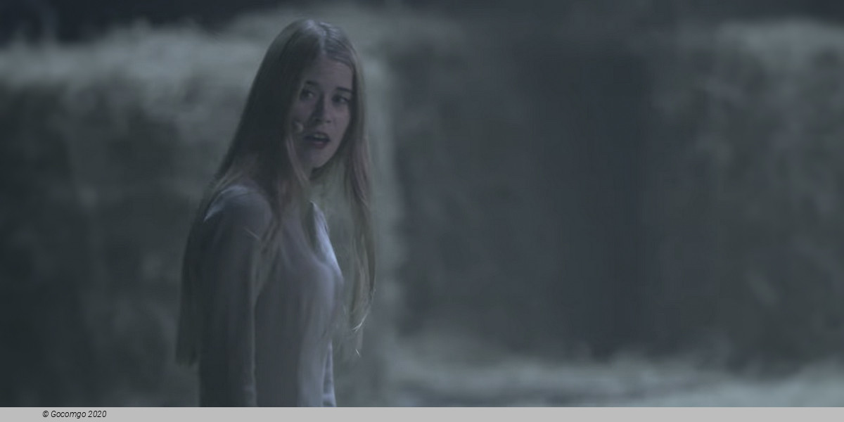 A Midsummer Night's Dream by Alexander Ekman, photo 8