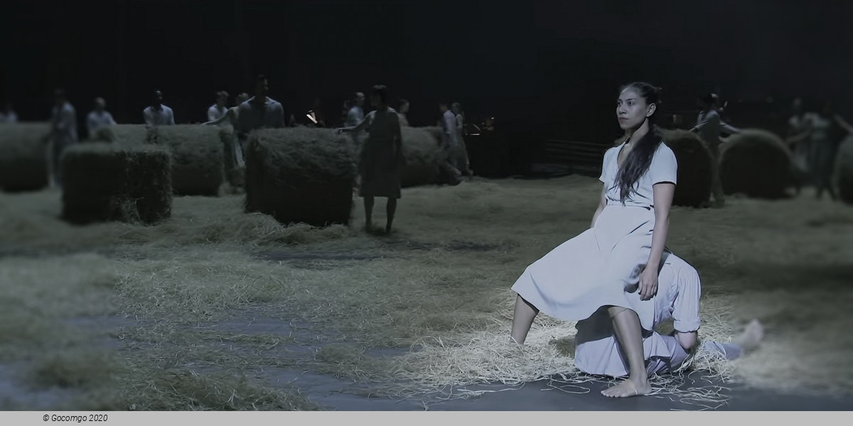 A Midsummer Night's Dream by Alexander Ekman, photo 1