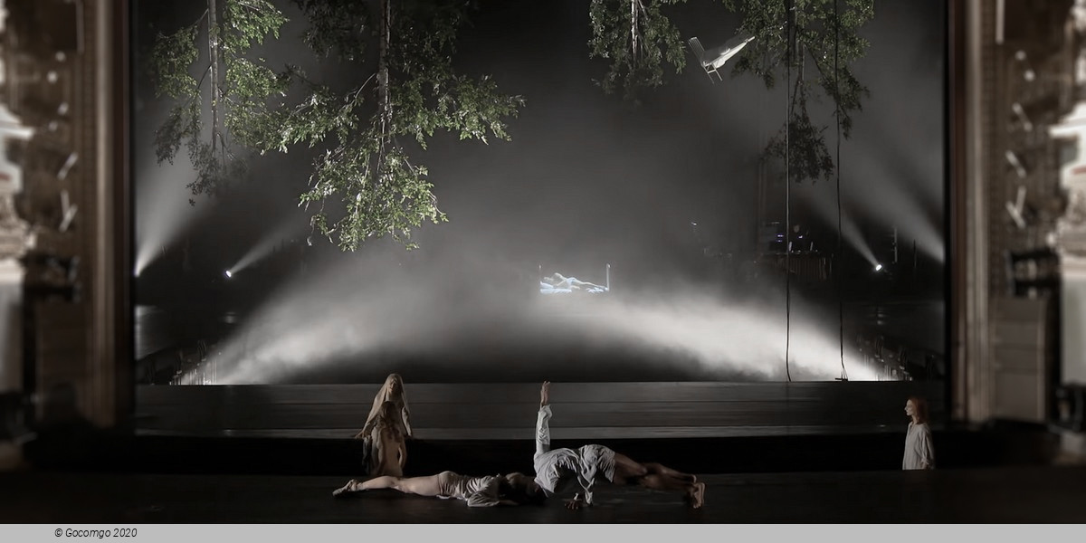 A Midsummer Night's Dream by Alexander Ekman, photo 14