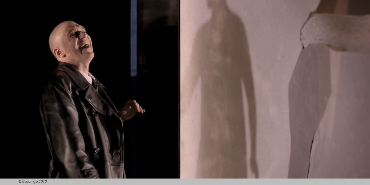 Figaro Gets a Divorce, photo 5