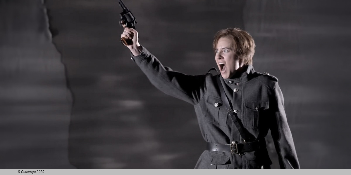 Figaro Gets a Divorce, photo 11