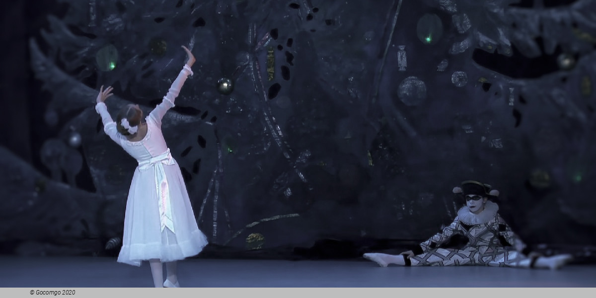 Scene 4 from the ballet "The Nutcracker", photo 1