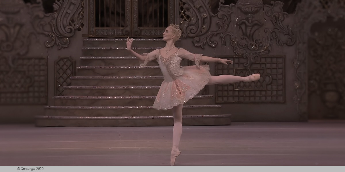 The Nutcracker (main), photo 4