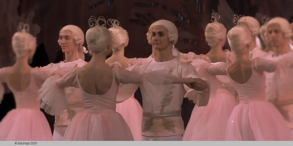 The Nutcracker (main), photo 11