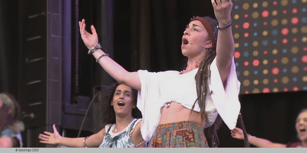 Scene 4 from the musical "Hair", photo 10