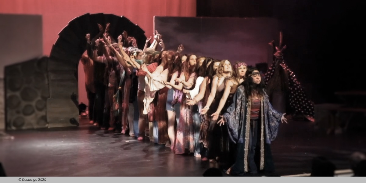 Scene 6 from the musical "Hair", photo 12