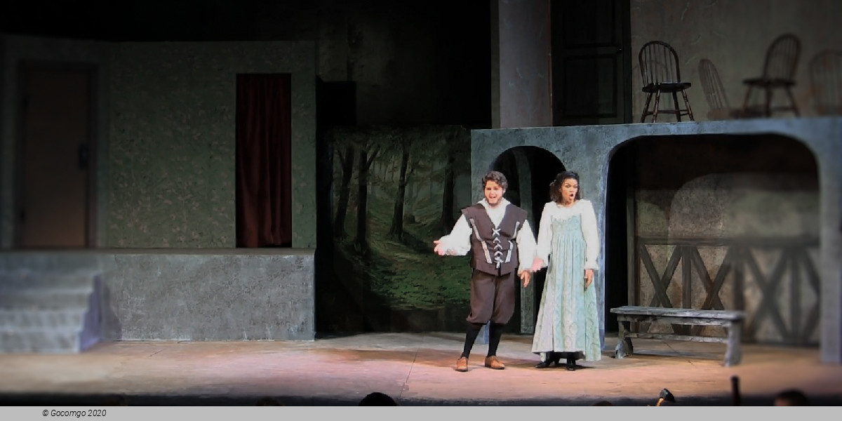 Scene 3 from the opera "The Merry Wives of Windsor", photo 5