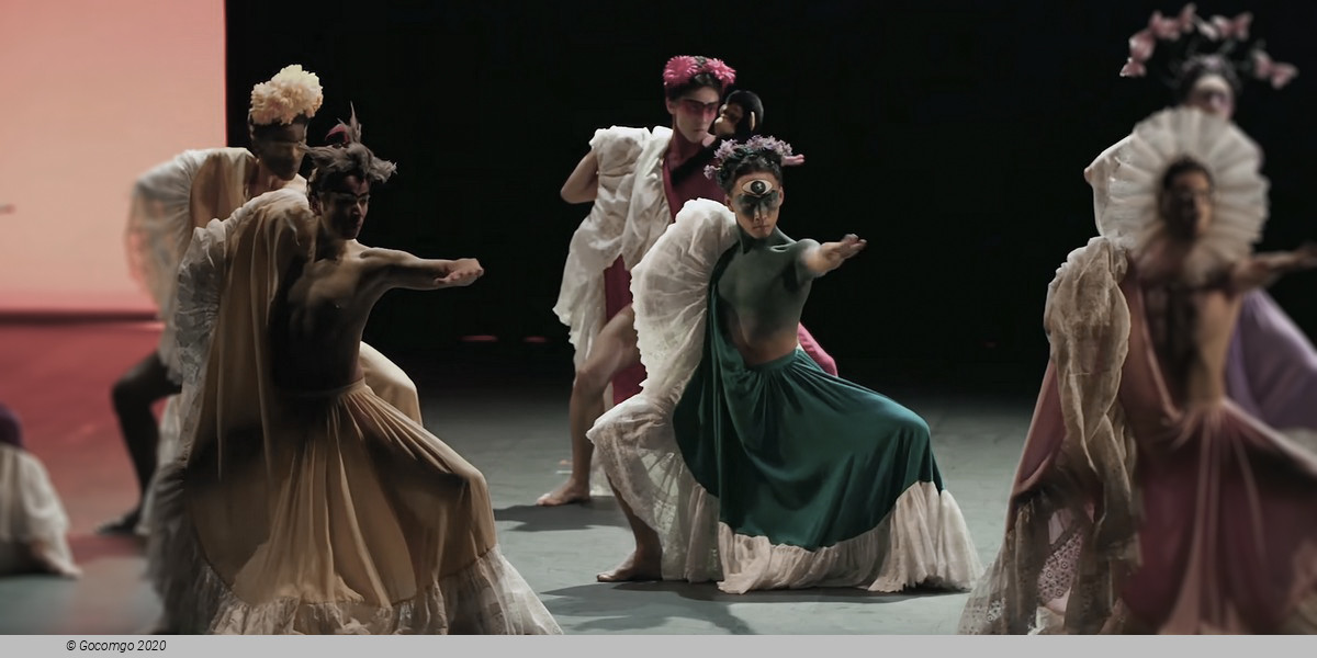 Scene 5 from the ballet "Frida", photo 5