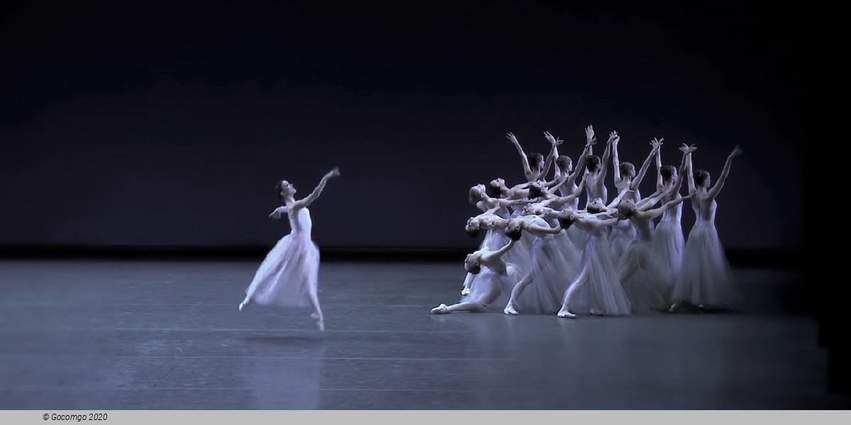 Scene 4 from the ballet "Serenade", photo 4