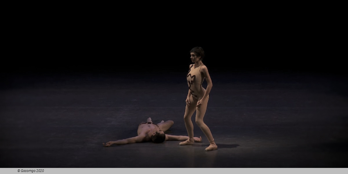 Scene 3 from the modern ballet "The Cage", photo 7