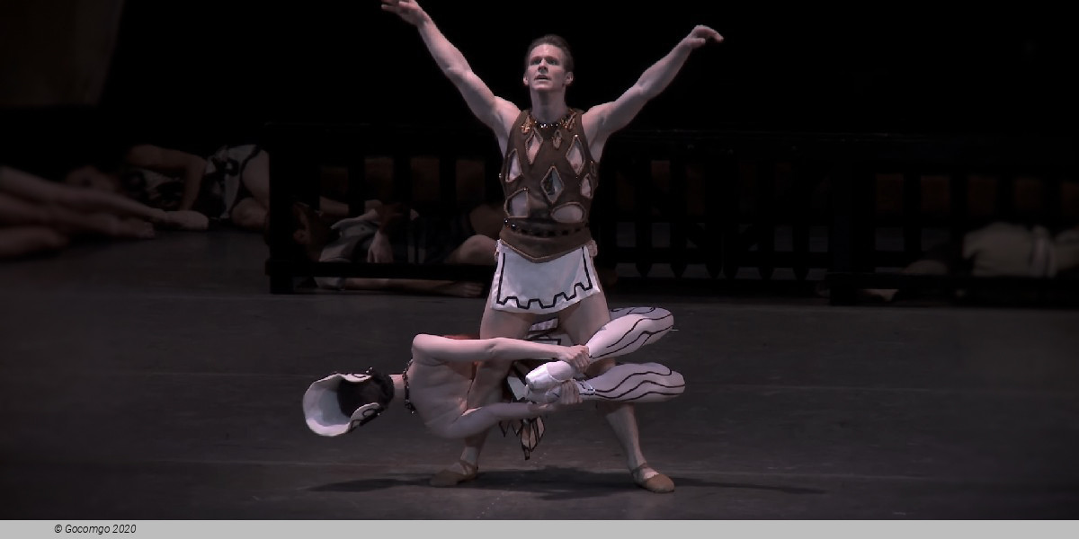 Scene 4 from the ballet "The Prodigal Son", photo 12