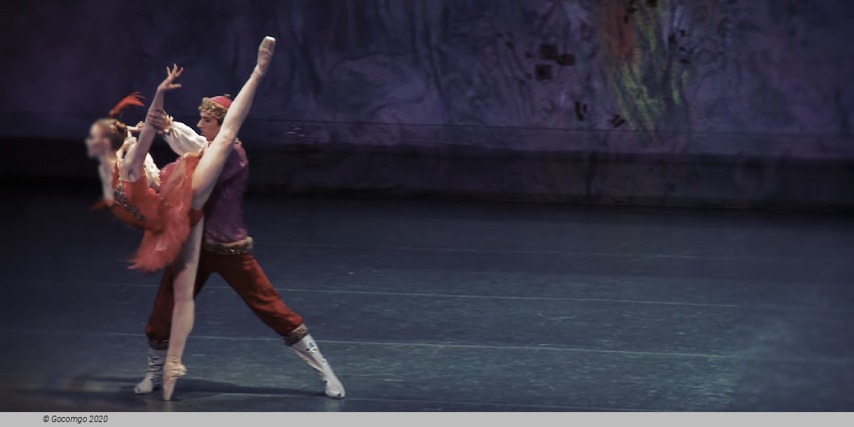 Scene 1 from the ballet "The Firebird", photo 14