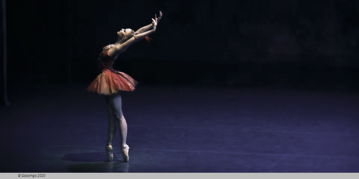 Scene 5 from the ballet "The Firebird", photo 17