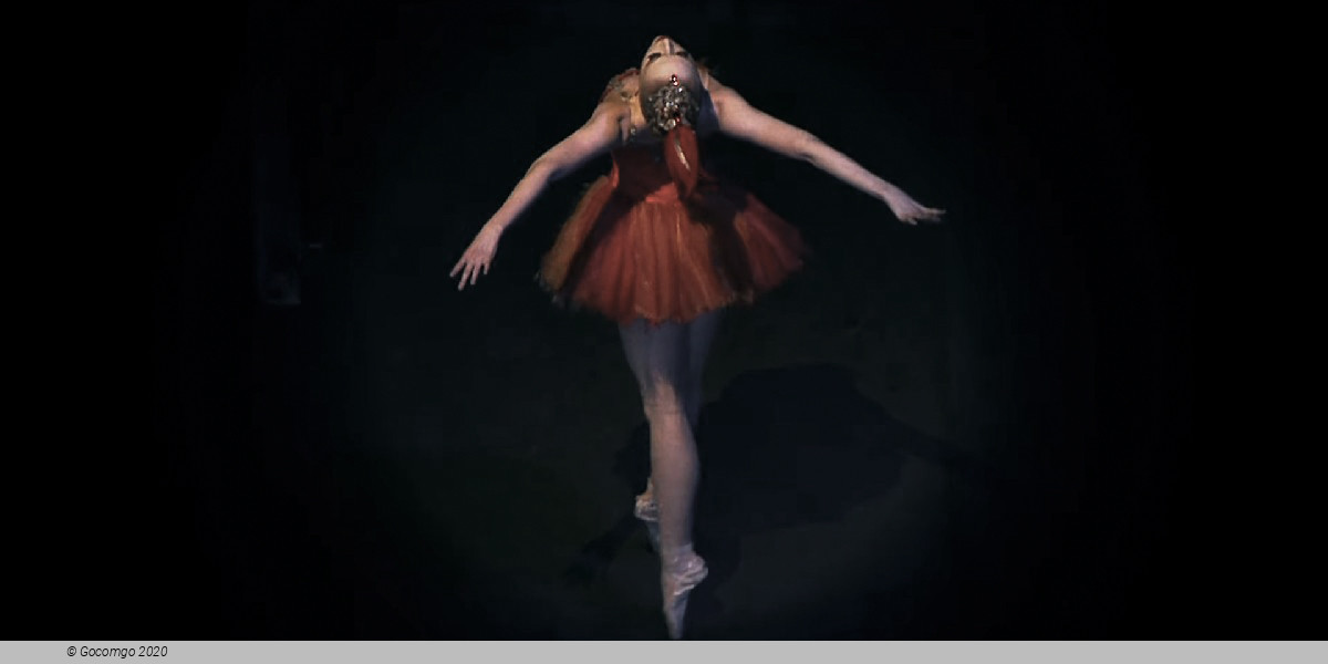 Scene 6 from the ballet "The Firebird", photo 18