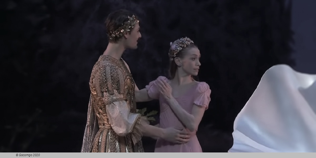 Scene 6 from the ballet "A Midsummer Night's Dream"