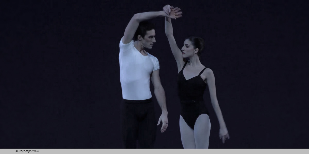 Scene 4 from the modern ballet "The Four Temperaments", photo 10