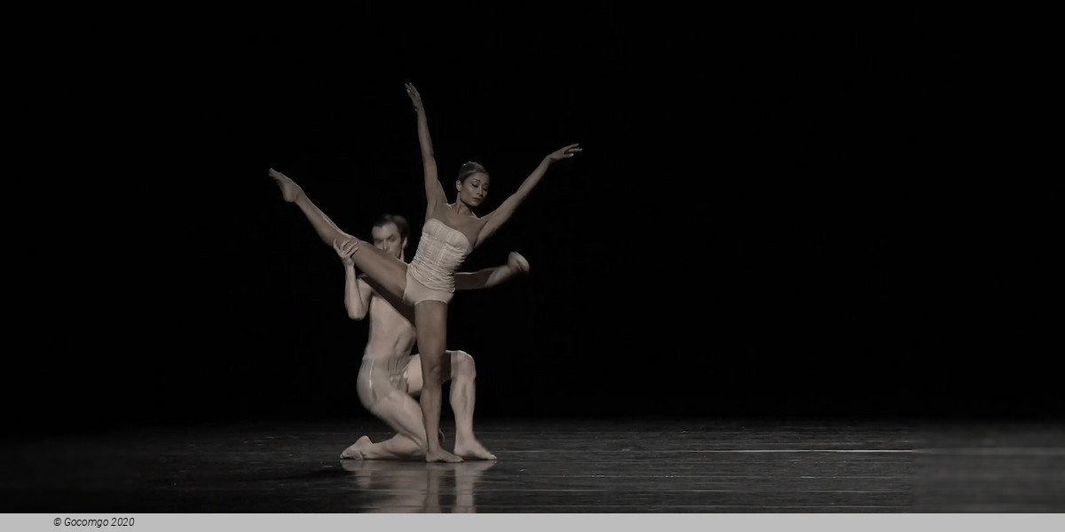 Scene 2 from the modern ballet "Petite Mort", photo 3