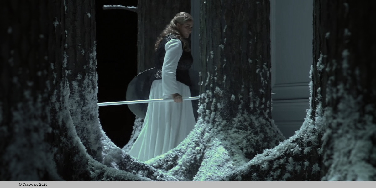 Scene 10 from the opera "Die Walküre", photo 1