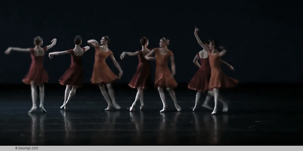 Concerto DSCH, photo 4