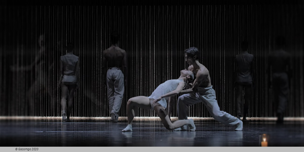 Scene 3 from the modern ballet "Gods and Dogs", photo 13