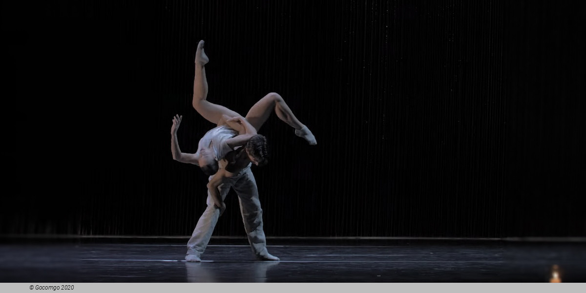 Scene 7 from the modern ballet "Gods and Dogs", photo 16