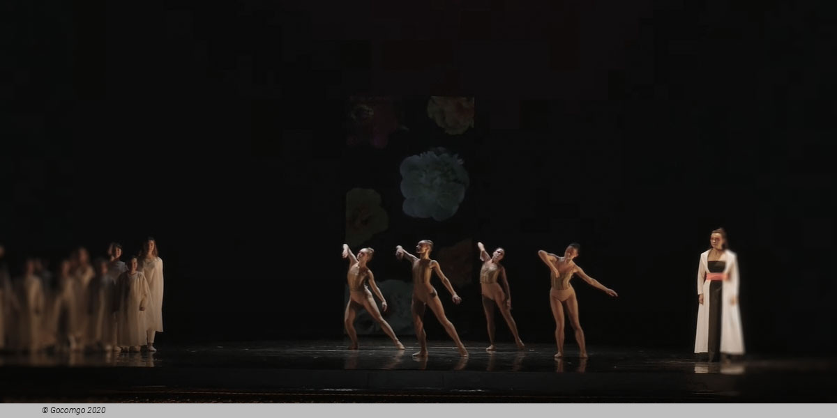 Carmina Burana, photo 6