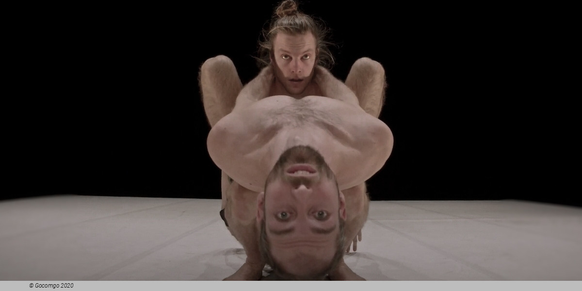 Through the Grapevine, photo 4