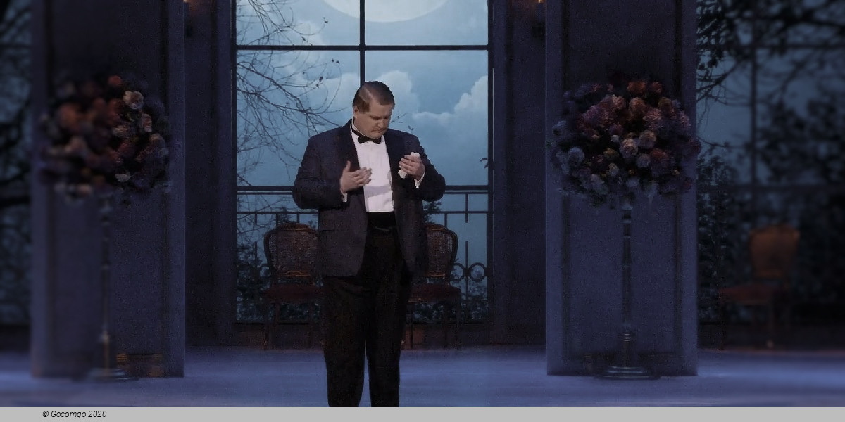 Scene 6 from the operetta "The Count of Luxembourg", photo 6