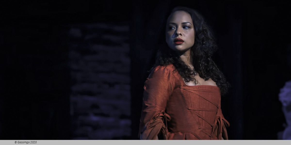 Scene 9 from the musical "Hamilton", photo 9