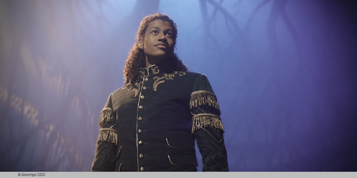 Scene 9 from the musical "Cinderella", photo 9