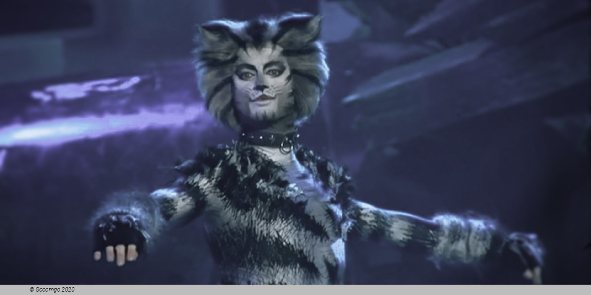Scene 1 from the musical "Cats", photo 2