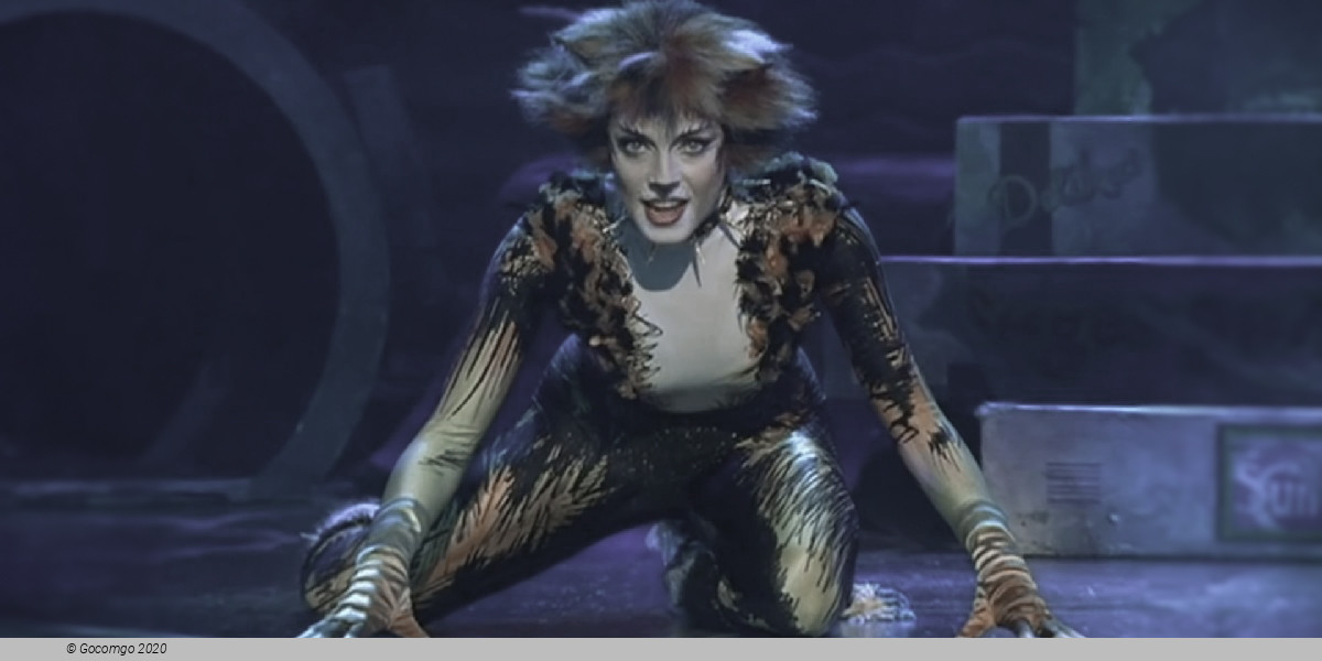 Scene 2 from the musical "Cats", photo 3
