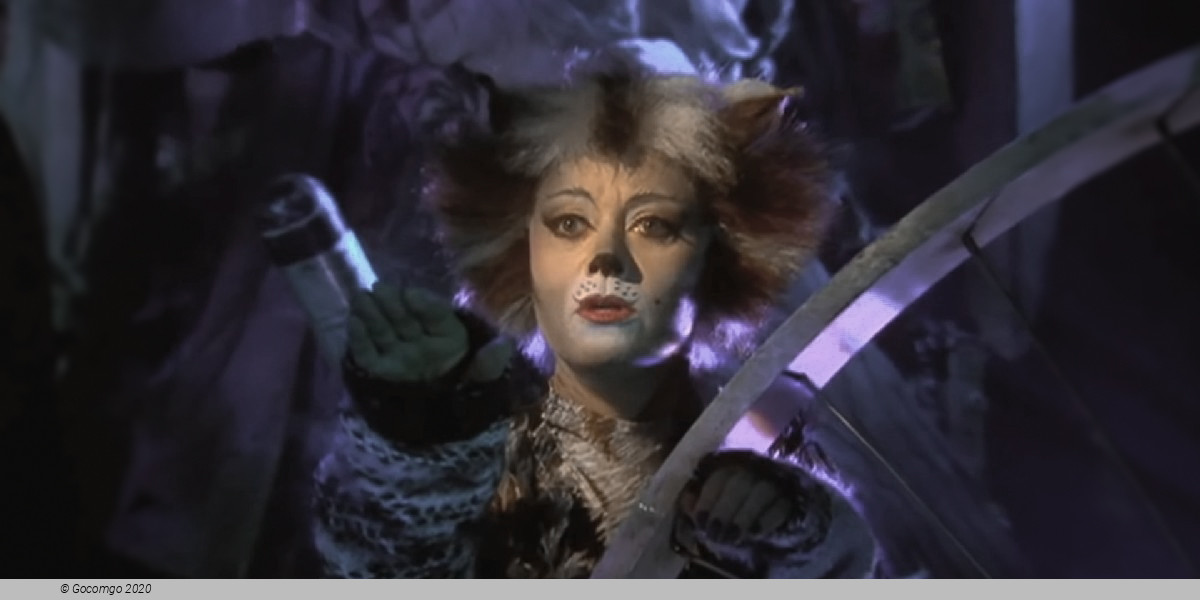 Scene 3 from the musical "Cats", photo 4