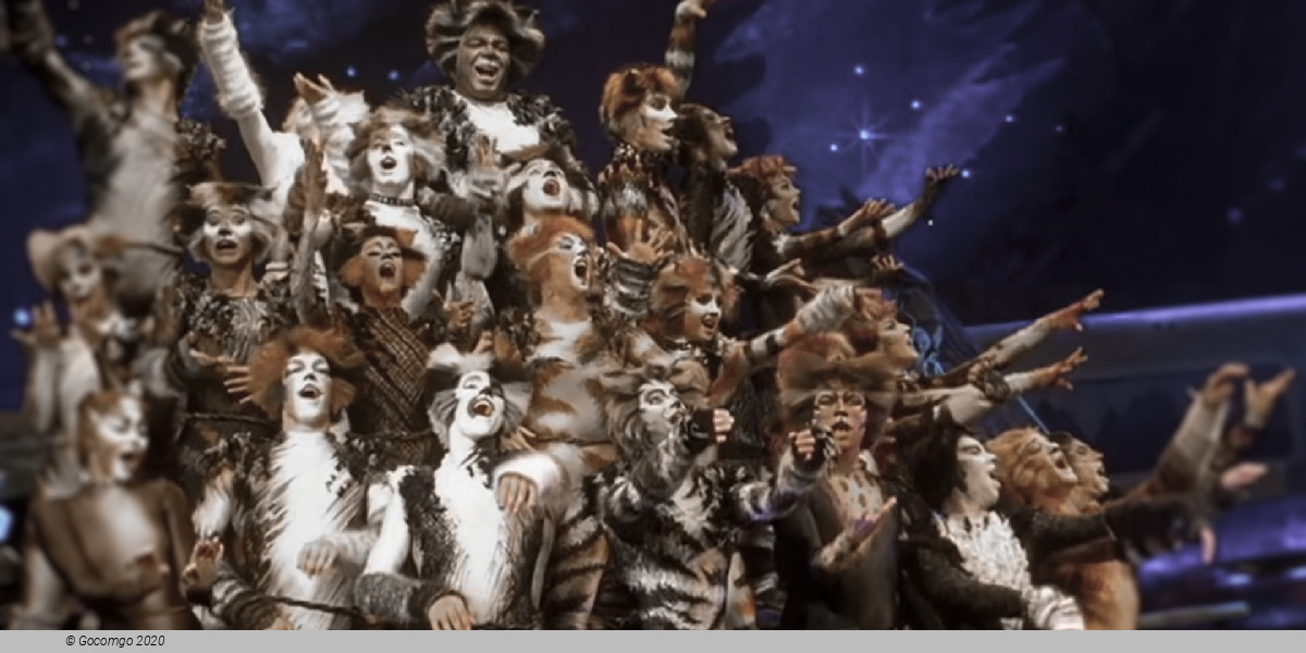Scene 4 from the musical "Cats", photo 5