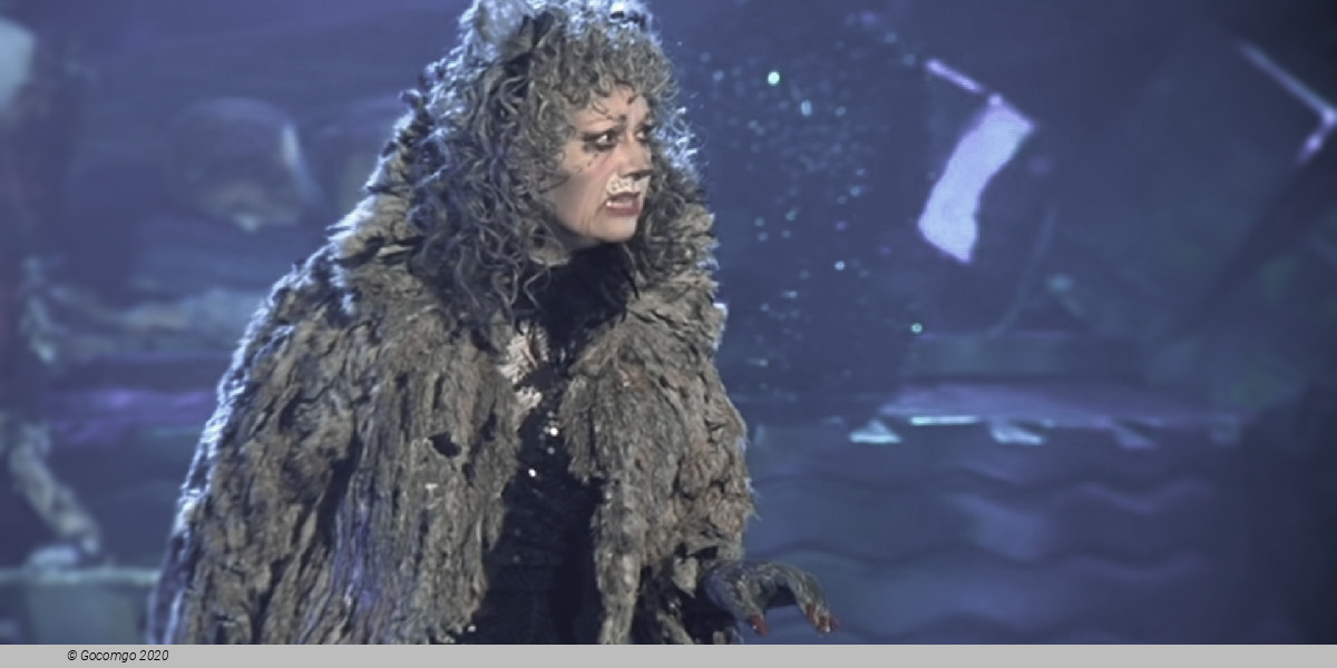 Scene 5 from the musical "Cats", photo 6