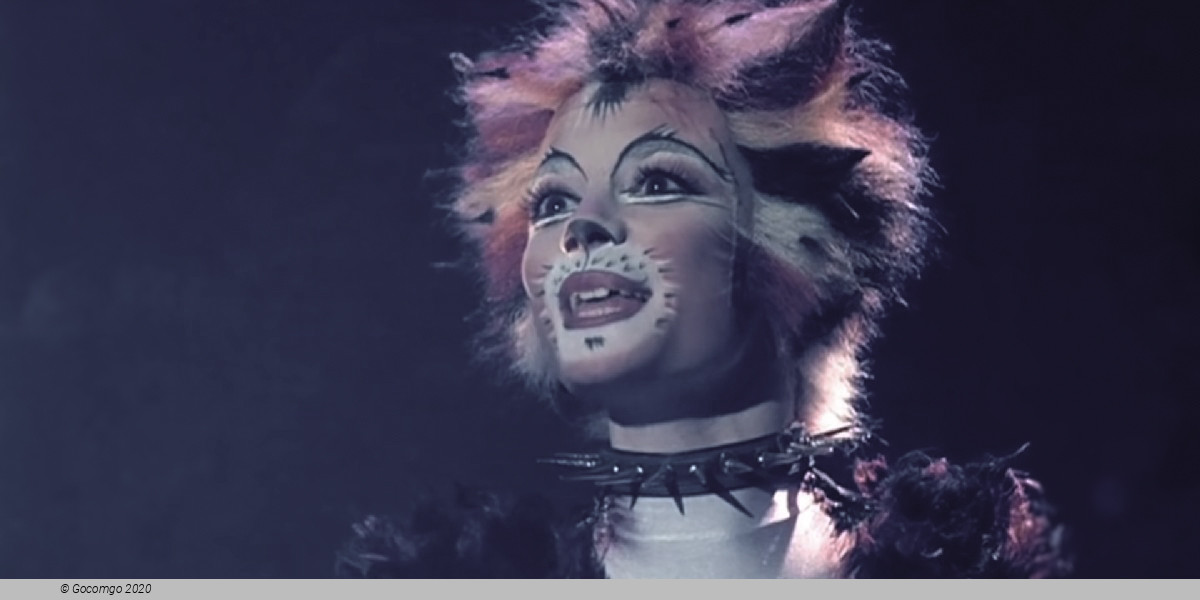 Scene 6 from the musical "Cats", photo 7