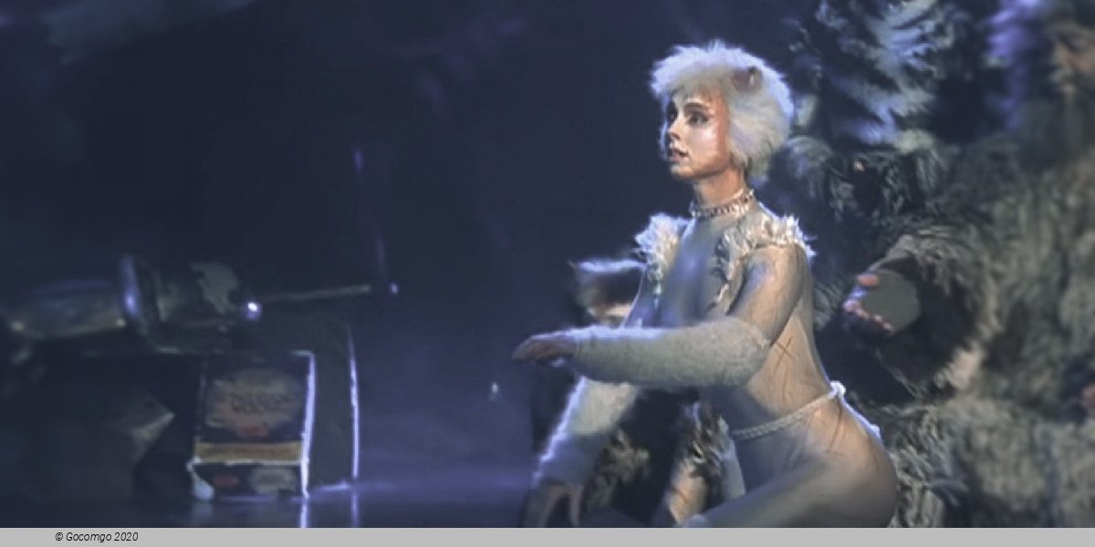 Scene 7 from the musical "Cats", photo 8