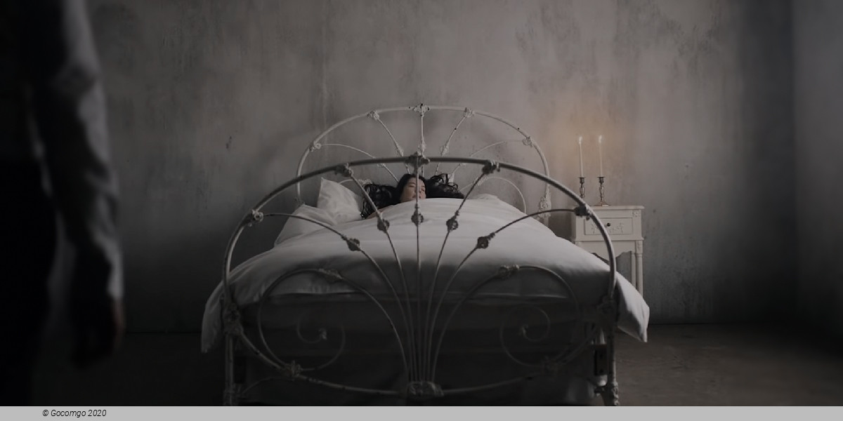 Scene 1 from the opera "7 Deaths of Maria Callas", photo 2