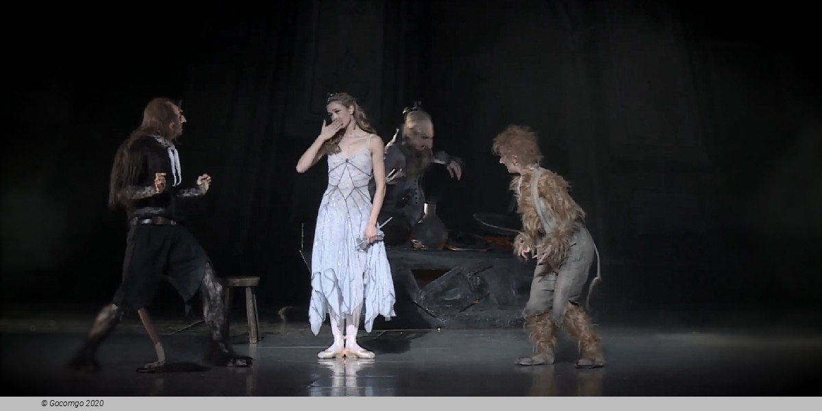 Scene 7 from the ballet "A Folk Tale", photo 7