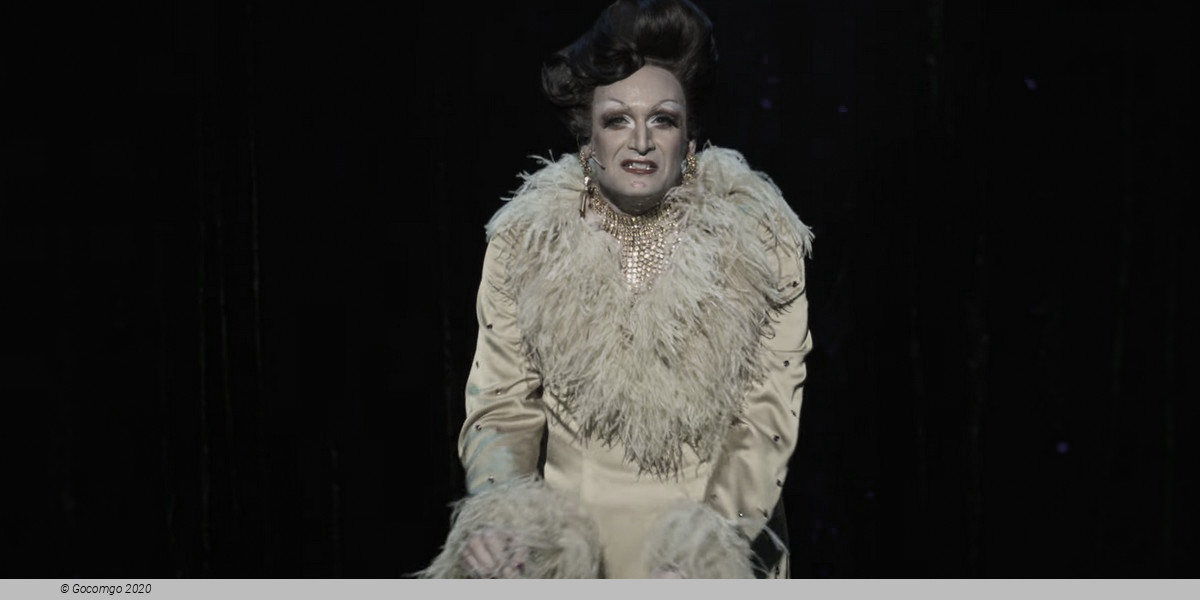 Scene 5 from the musical "La Cage aux Folles", photo 5