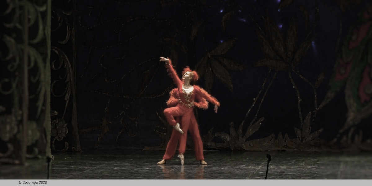 Scene 6 from the ballet "One Thousand and One Nights", photo 7
